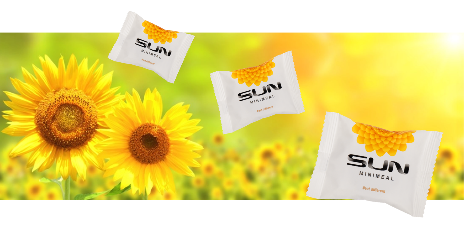 sun-flower-img