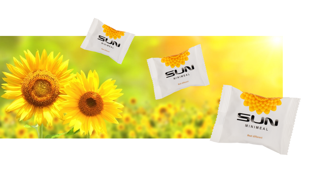 sun-flower-img